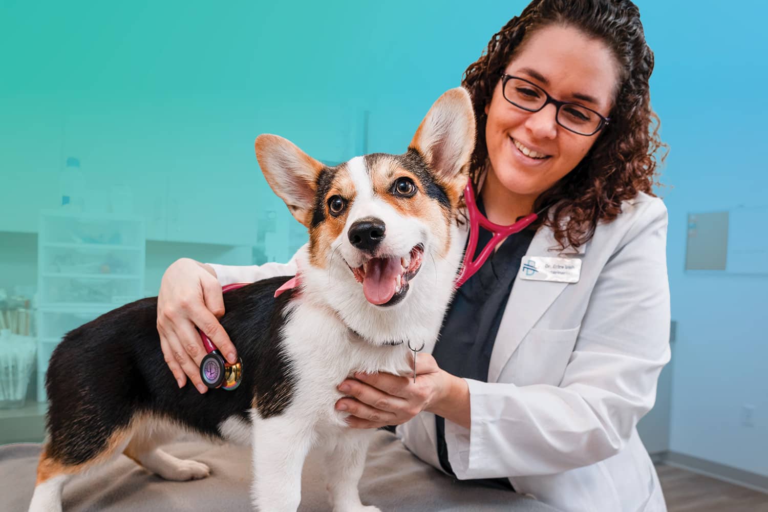 Dog Vaccines 101: The Science of Safety 