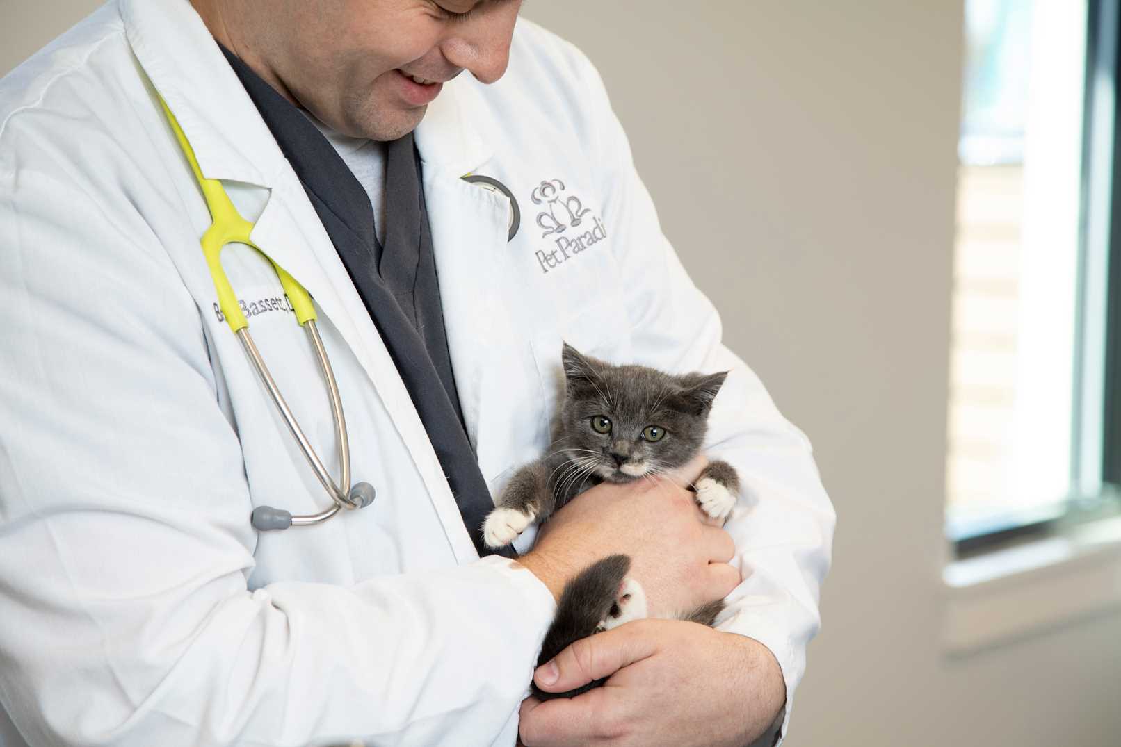 Lake Norman Pet Boarding Pet Paradise