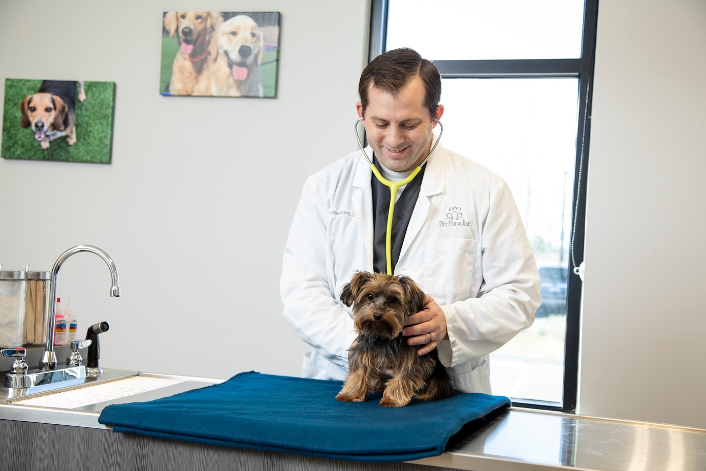 Greenville Pet Boarding Pet Paradise