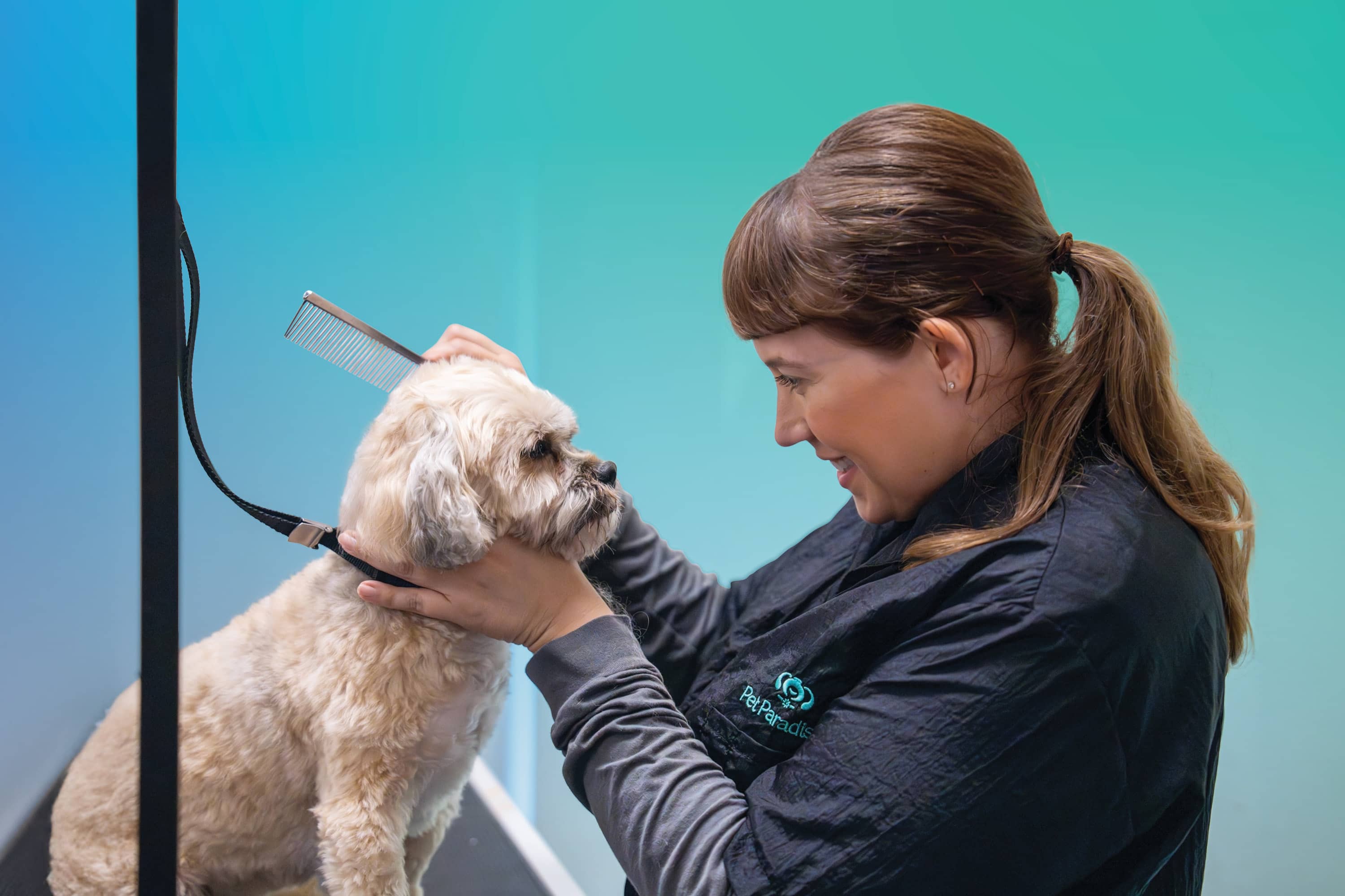 Pet Paradise Grooming