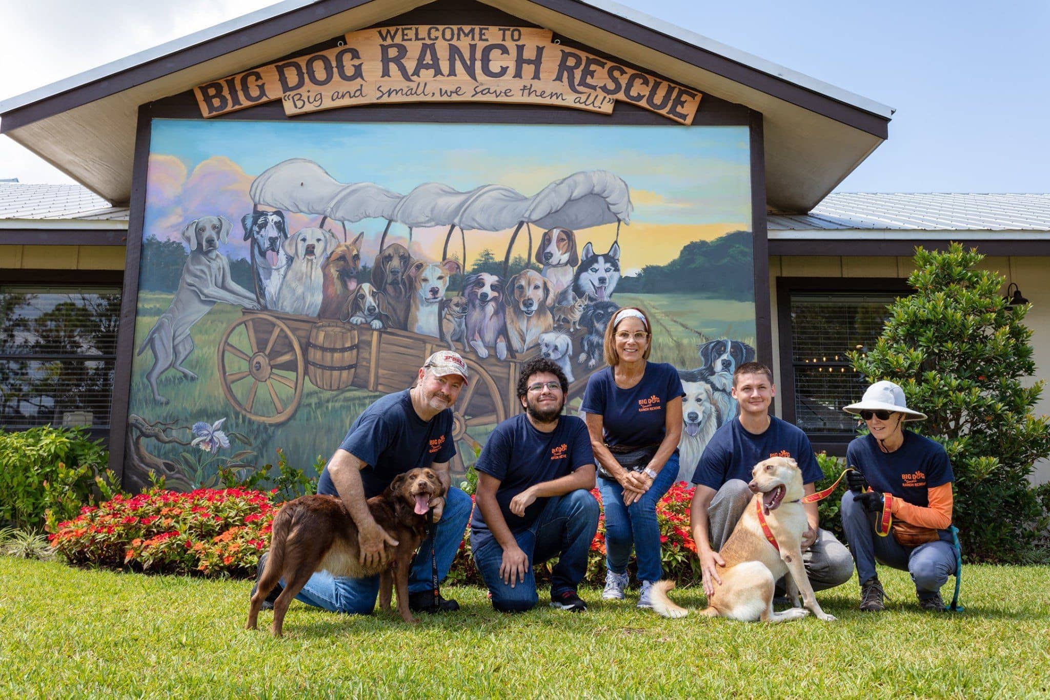 Big Dog Ranch Rescue