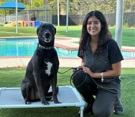 a woman kneeling next to a dog
