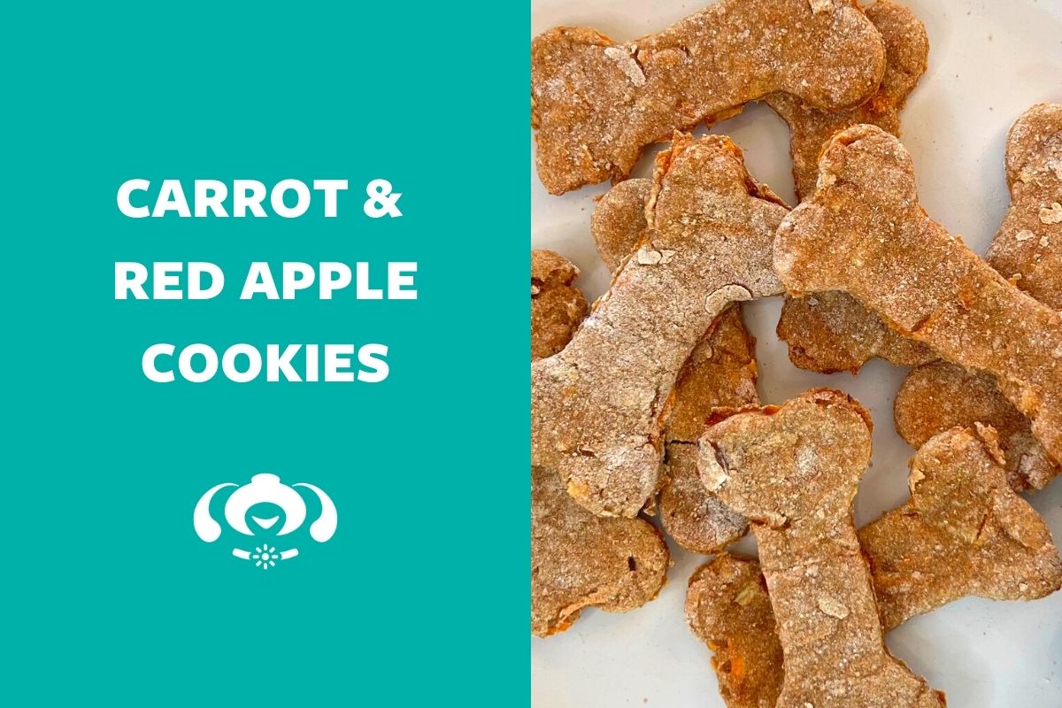 Carrot and Red Apple Cookies