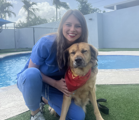 a woman in scrubs kneeling next to a dog