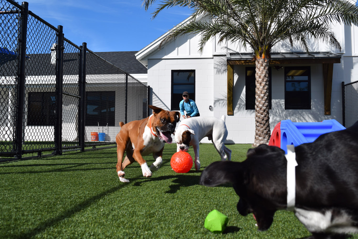 Pet Paradise Bartram Park