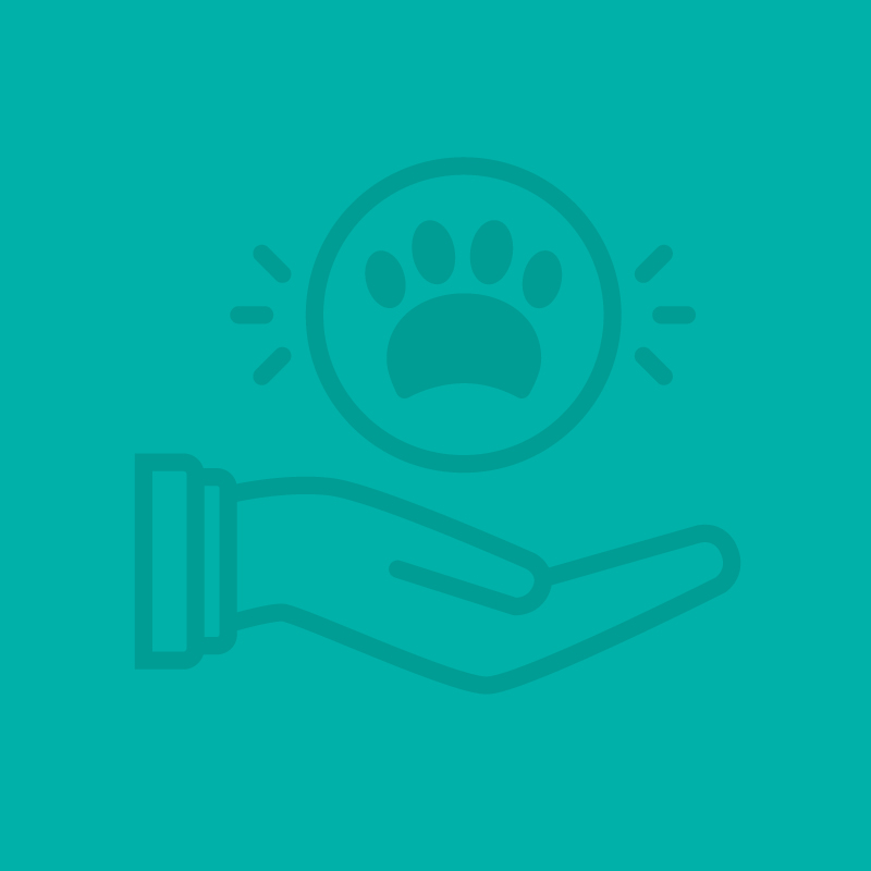 a hand holding a paw