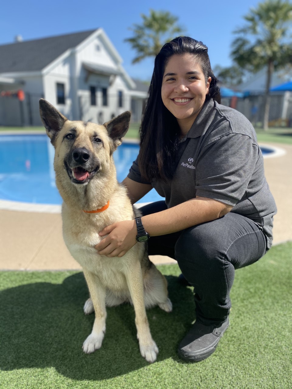 Winter Garden Pet Boarding And Day Camp