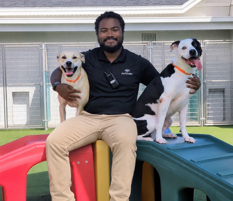 a man sitting on a slide with two dogs