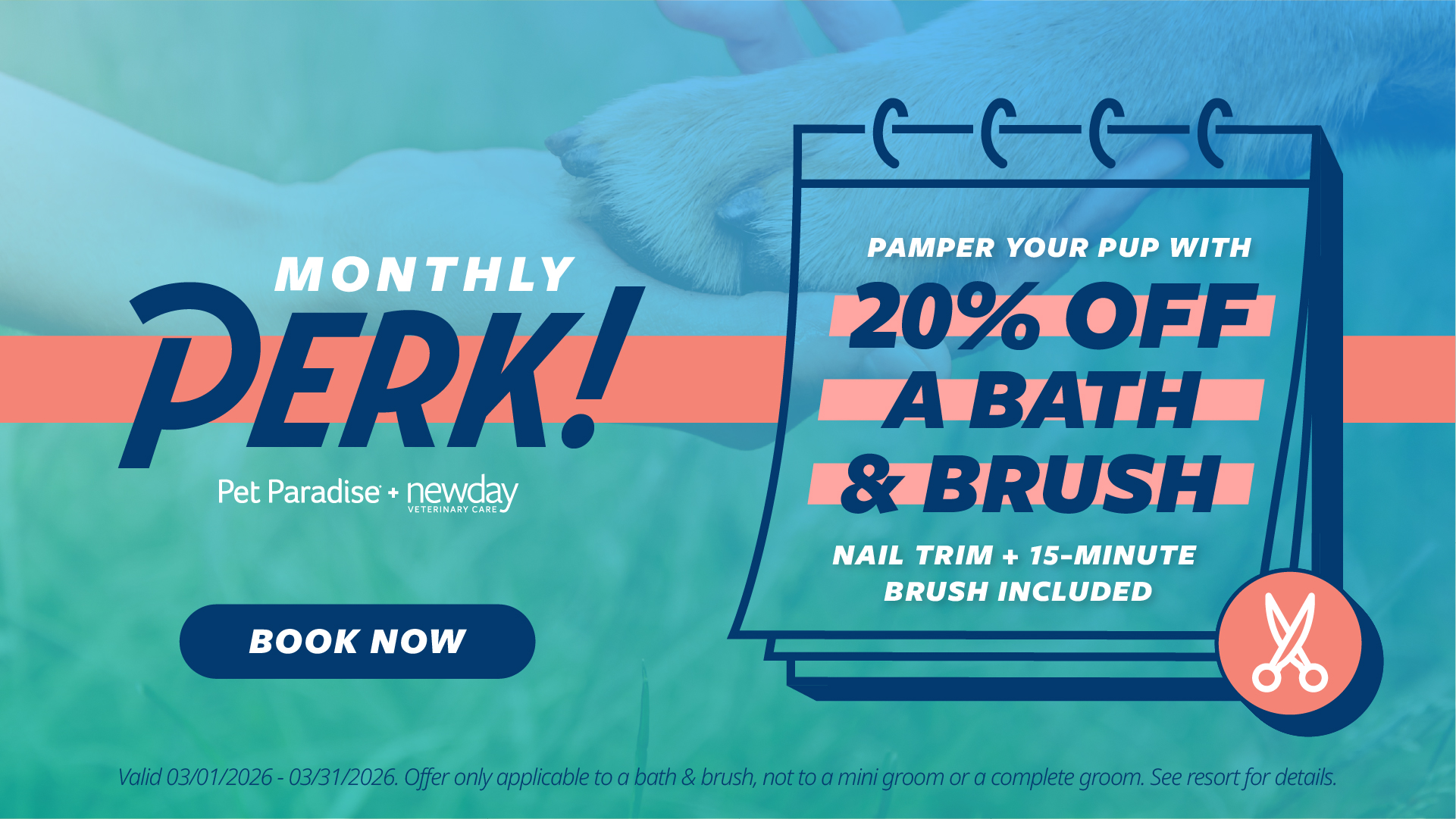 20% Off a Bath & Brush