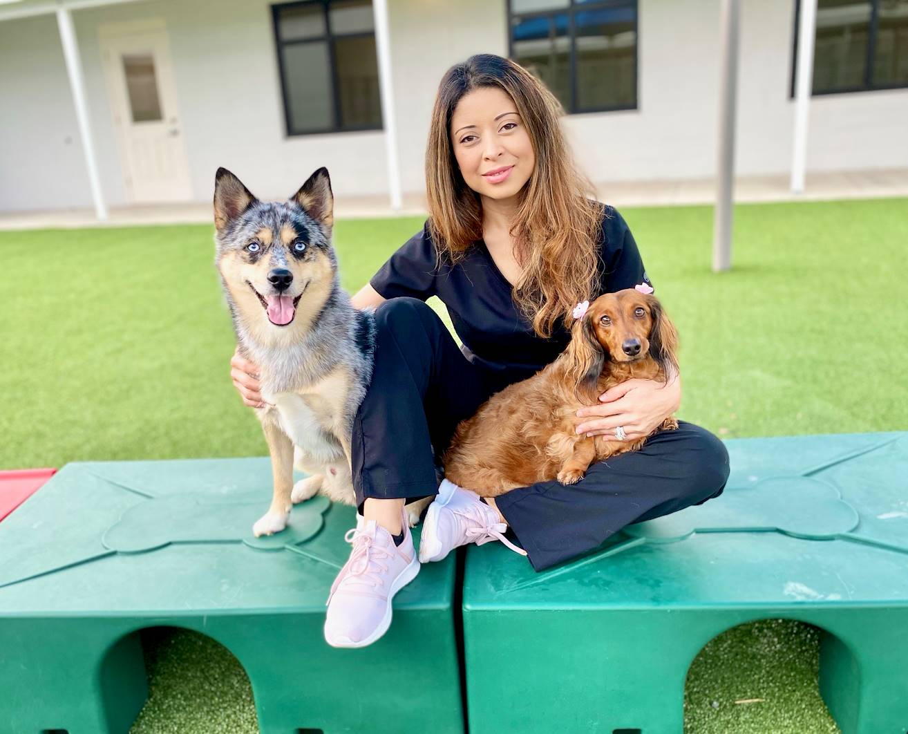 Pet Paradise: Find Your Furry Friend Or Reunite With A Lost One On Craigslist San Diego