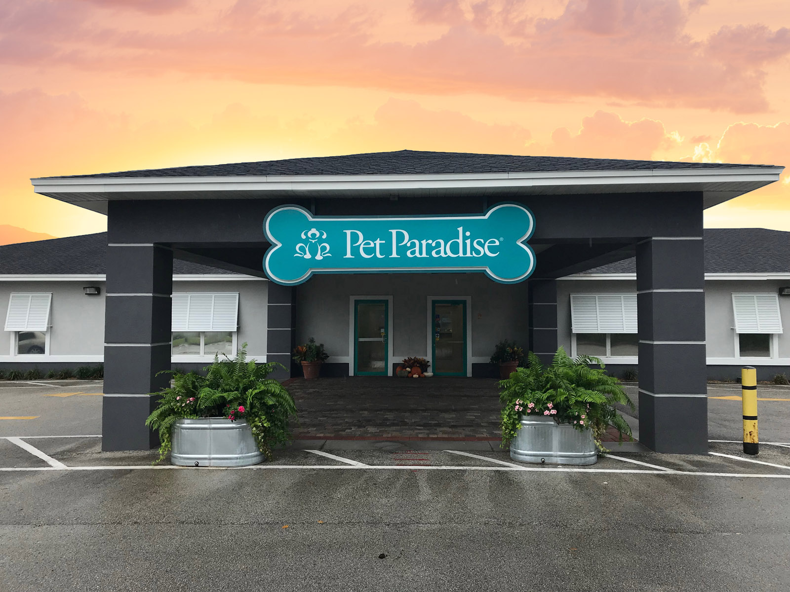 JacksonvilleUniversity Blvd Pet Boarding Pet Paradise
