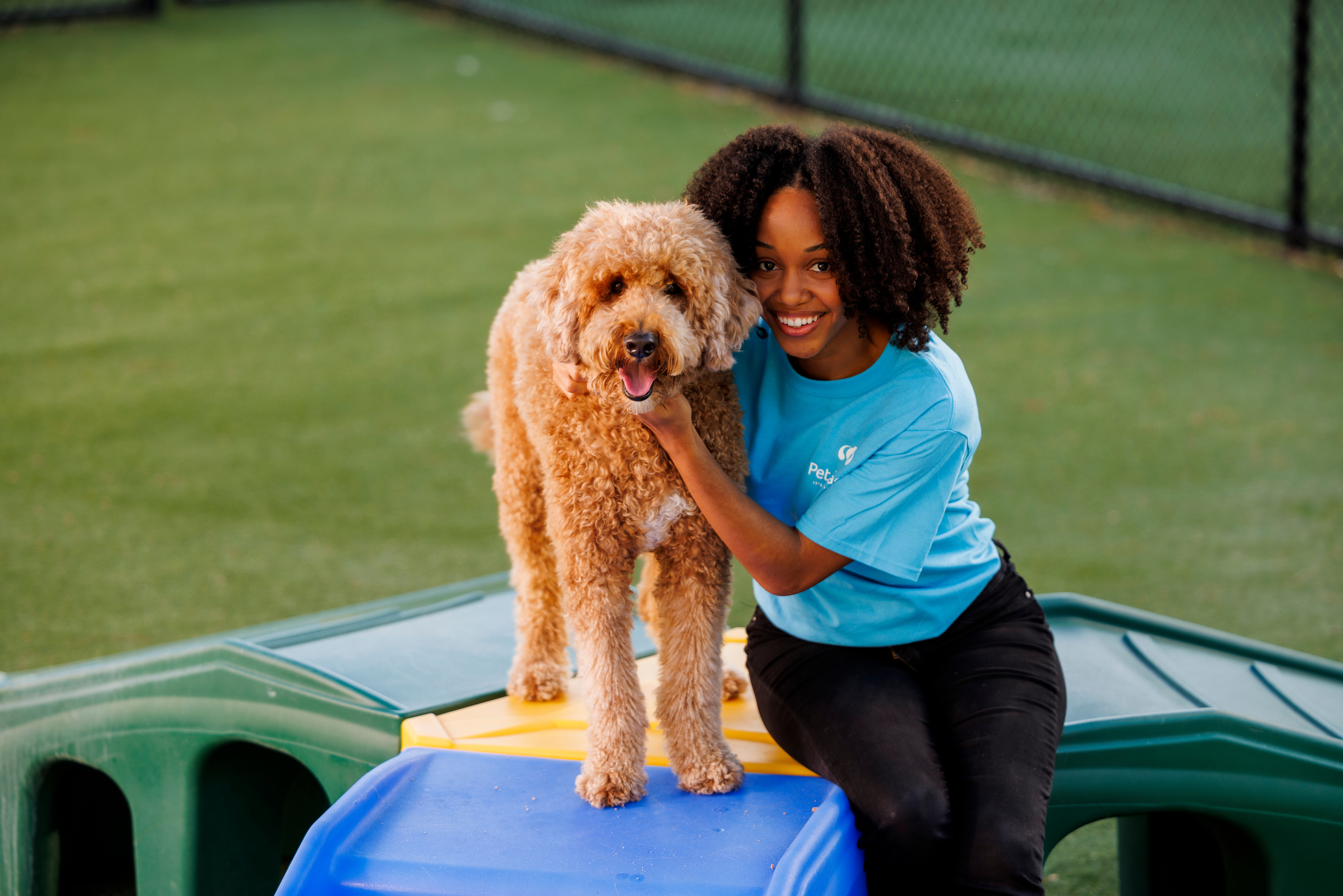 Pet Paradise One Free Stay or Play