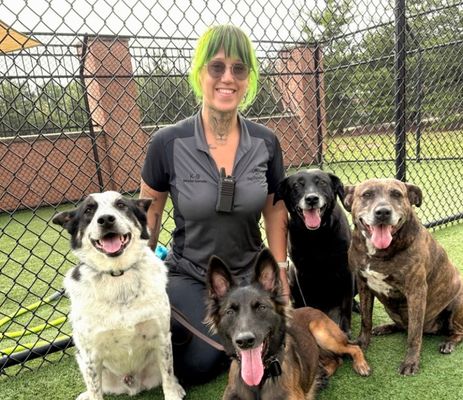 a woman with several dogs