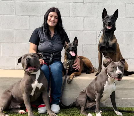 a woman sitting on a step with several dogs