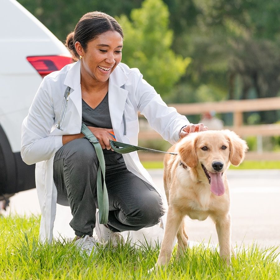 pet doctors of america beach boulevard