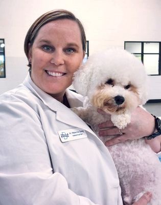 Veterinarian