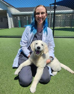 Veterinarian