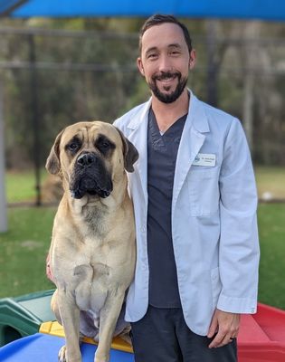 veterinarian