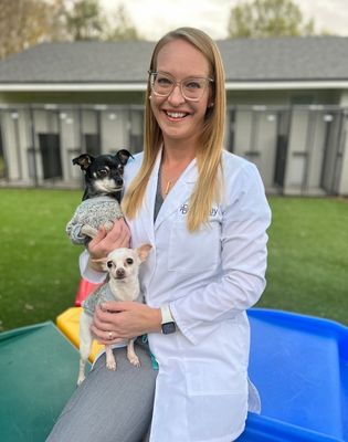 Veterinarian