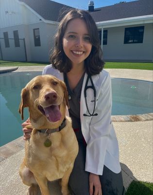 Veterinarian
