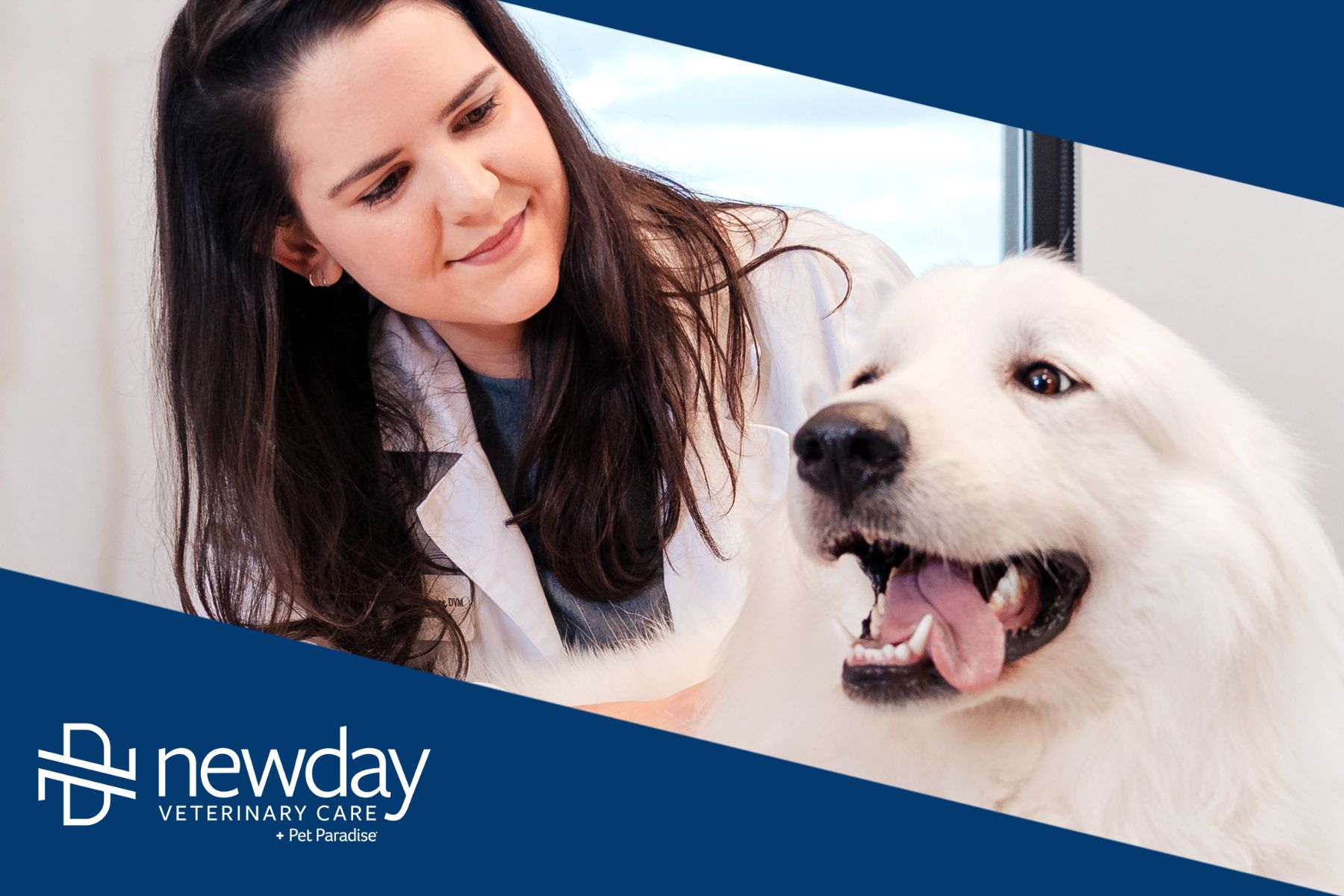 NewDay Veterinary Care