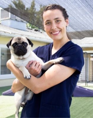 Veterinary Manager