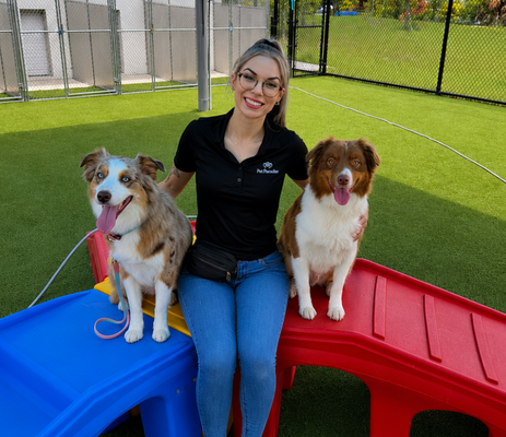 a woman sitting on a playground with two dogs