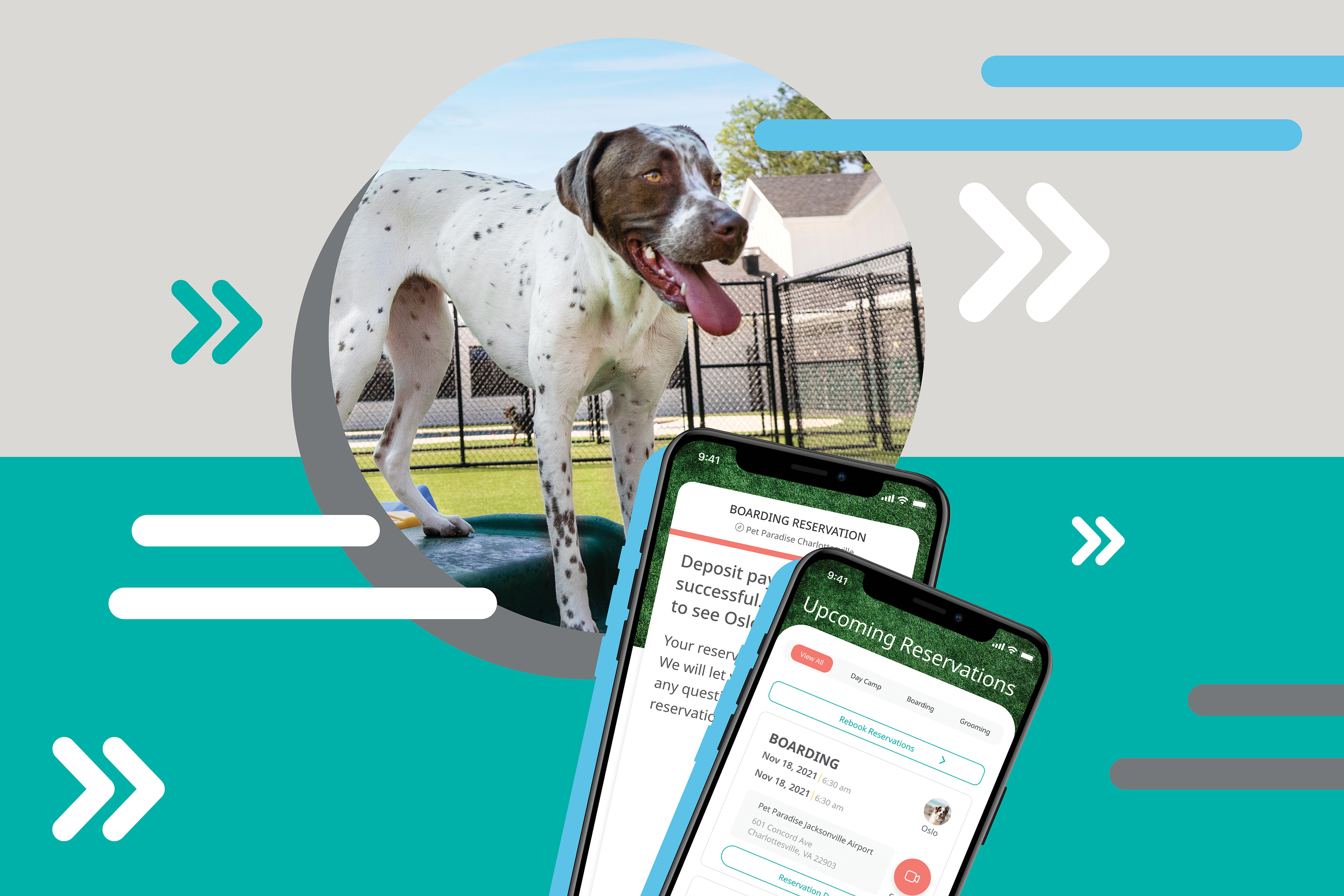 Pet Paradise Mobile App