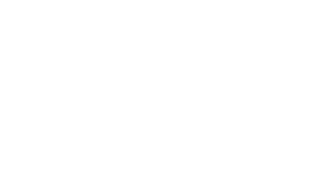 Dog Cat Boarding Day Care And Veterinary Care Pet Paradise