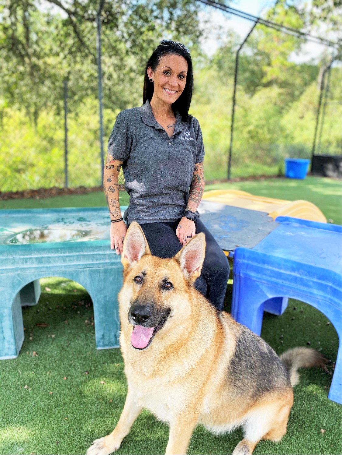 Mobile Pet Shots Palm Coast Fl Veterinarians In Palm Coast Fl