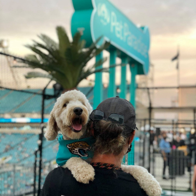 dog jaguars jersey