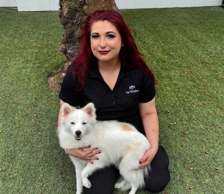 a woman sitting on grass holding a dog