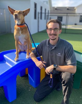 a man with a dog on a leash
