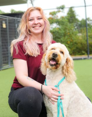 a woman sitting on a grass field with a dog