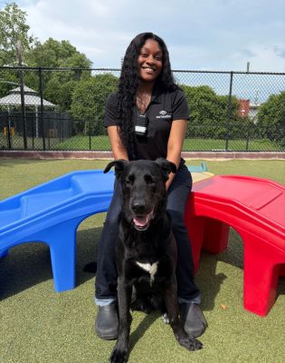 a woman sitting on a bench with a dog