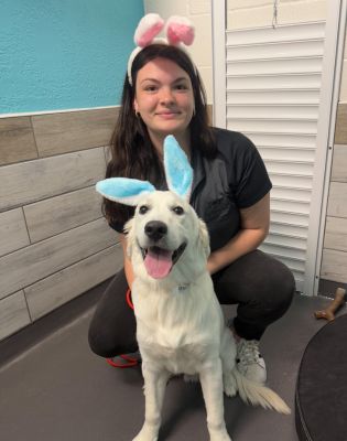 a woman kneeling next to a dog wearing bunny ears