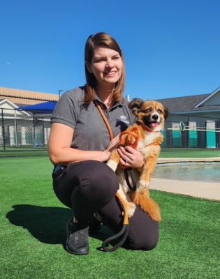 Pet Paradise Dripping Springs Assistant Manager