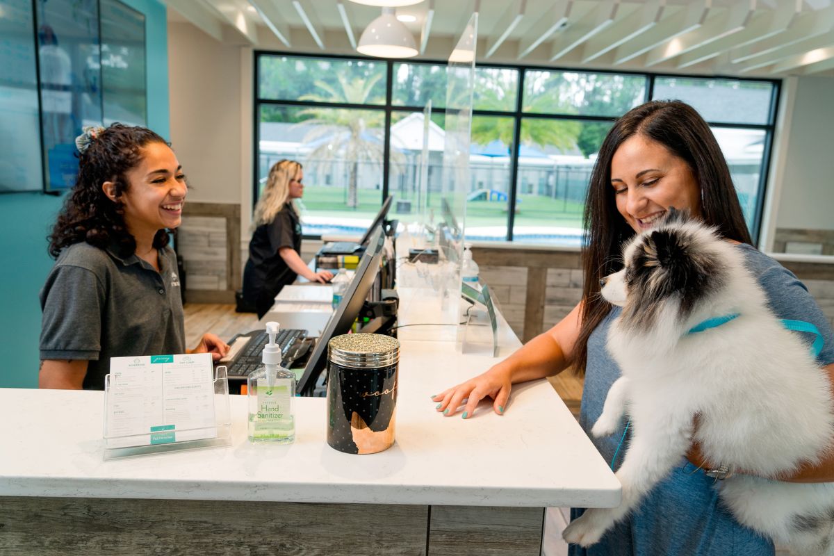 Pet Paradise Furevery Loyal