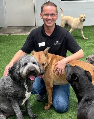 a man with several dogs