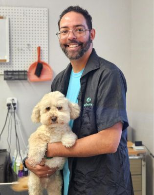 a man holding a dog
