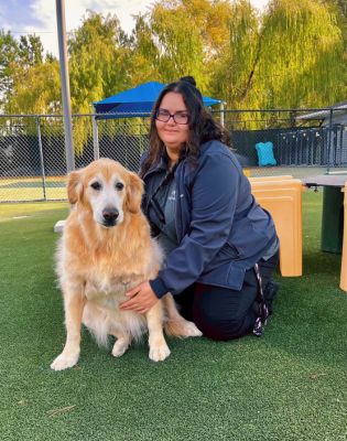 Pet Paradise Houston JFK Assistant Manager