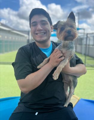 a man holding a dog