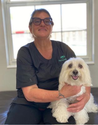 Pet Paradise Palm Coast Groomer