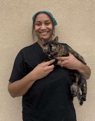 a woman holding a cat