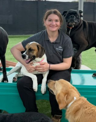 a woman sitting on a bench with dogs