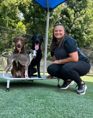 a woman sitting on a trampoline with several dogs