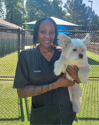 a woman holding a dog