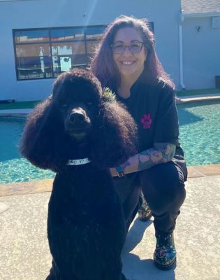 Pet Paradise Stone Oak Grooming