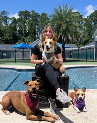 a woman sitting on a black box with several dogs
