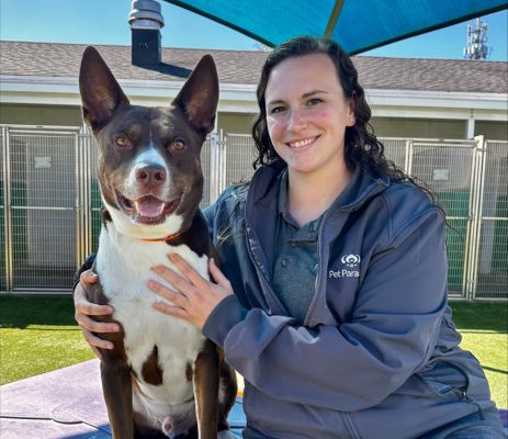 a woman holding a dog